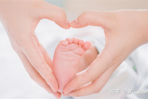 http://tianjin.51dzb.net/post/188.html|天津新闻中心