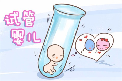 http://tianjin.51dzb.net/post/212.html|天津新闻中心